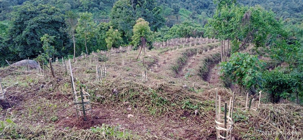 C:\Users\Nitro5\Downloads\mewan yt\WhatsApp Image 2023-03-14 at 5.54.30 PM (1).jpeg